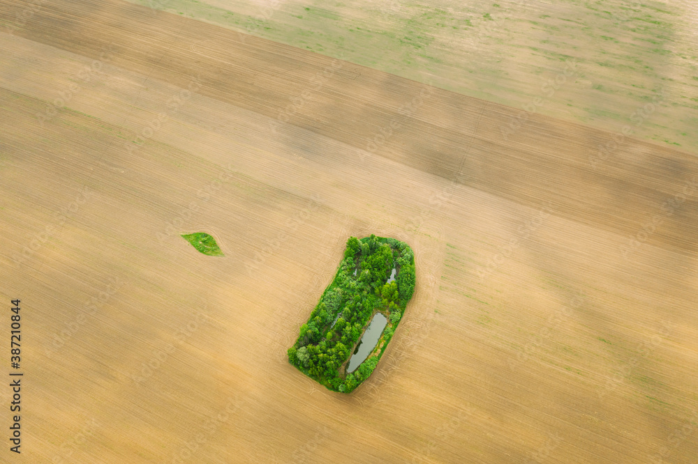 Small Green Natural Island With Green Grass, Forest And Small Pond In Spring Empty Rural Field Lands