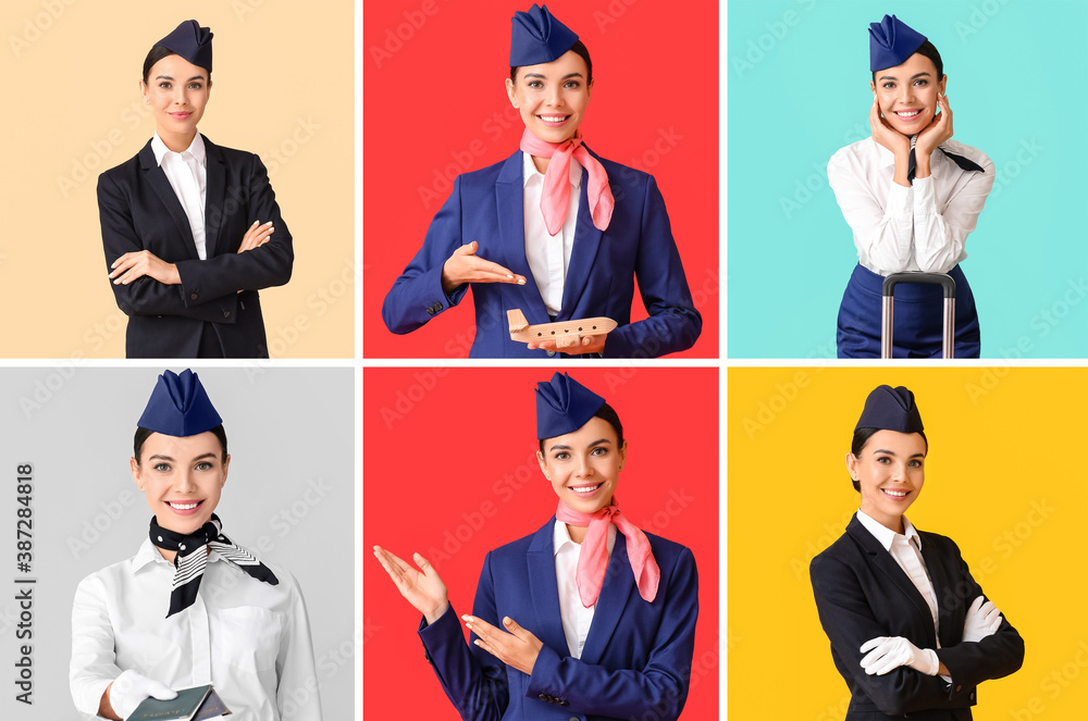 Collage of beautiful stewardess on color background