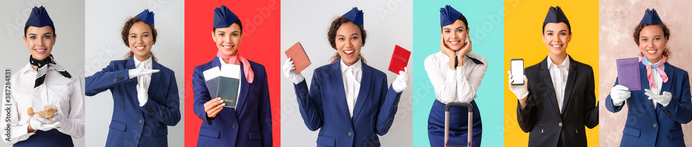 Collage of different beautiful stewardesses on color background