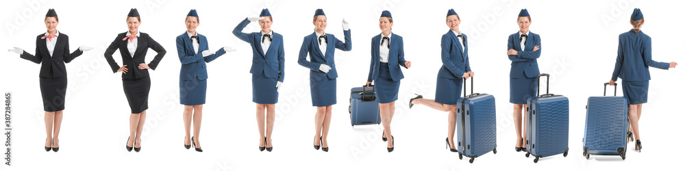 Collage of beautiful stewardess on white background