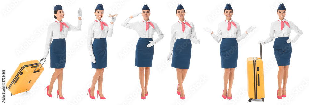 Collage of beautiful stewardess on white background