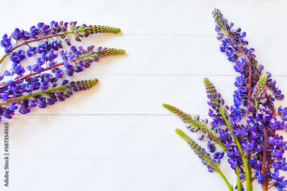 Purple flowers frame on textured white wooden table. Flatlay, top view, copy space.