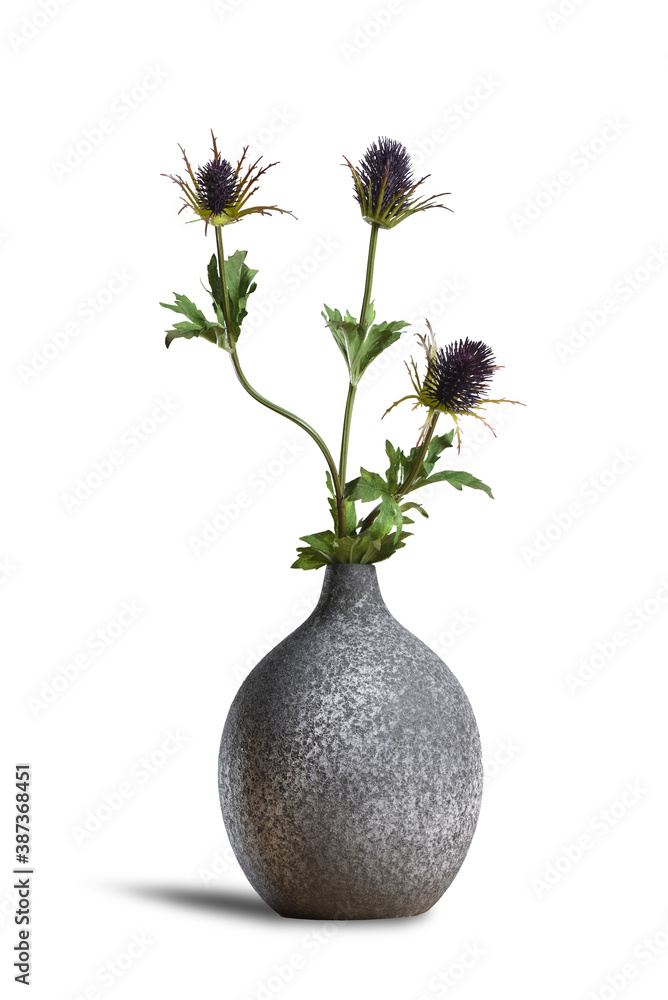 Modern ceramic vase with thistle flower isolated on white background