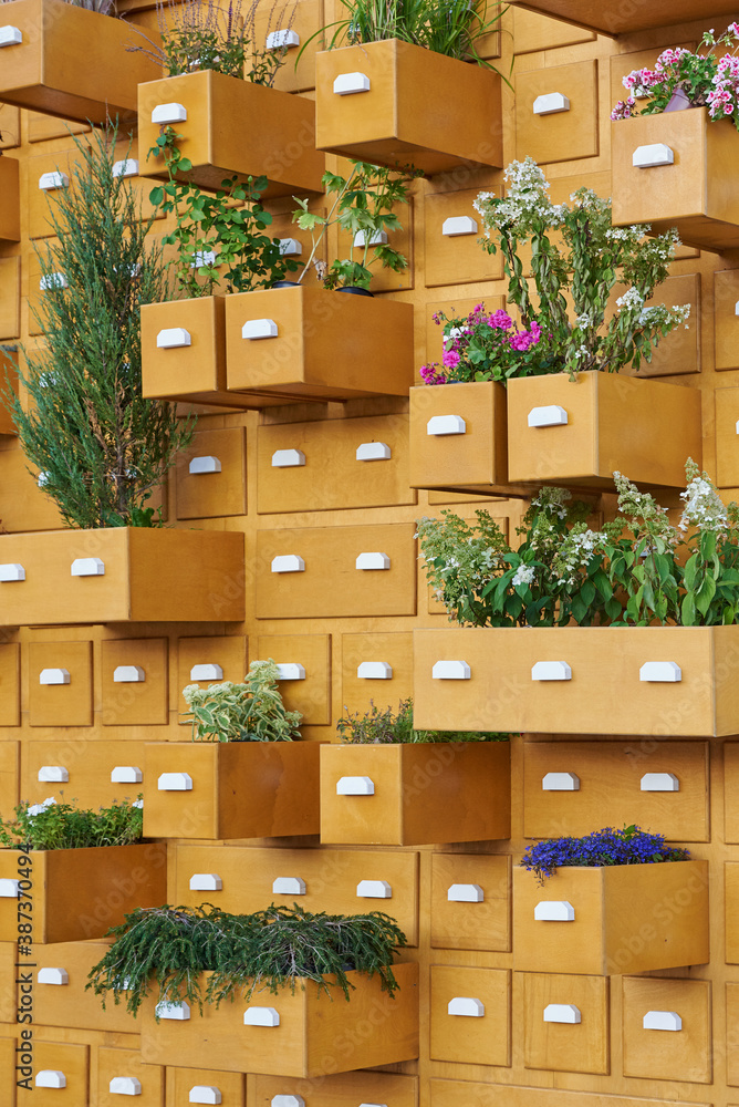 Garden decor and vertical flower bed wall of boxes with outdoor plants