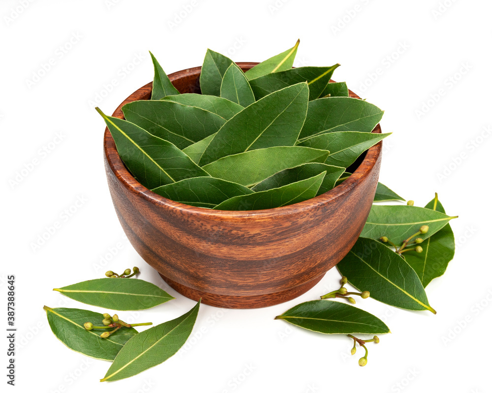 Bay leaves in wooden bowl isolated on white background