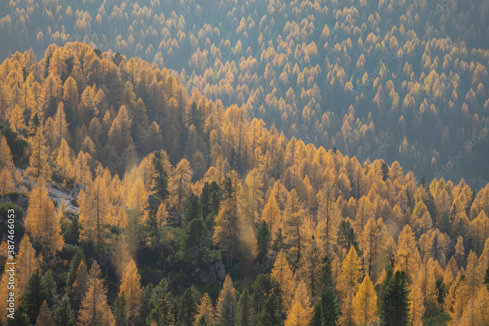 AERIAL: Golden autumn sunshine illuminates the colorful Dolomites in October