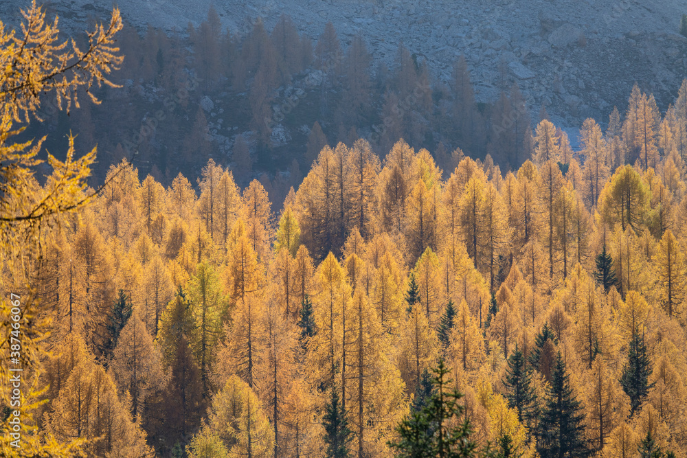 AERIAL: Golden fall sun rays illuminate the colorful Dolomites in October.