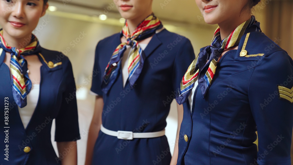 Group of cabin crew or air hostess in airplane . Airline transportation and tourism concept.