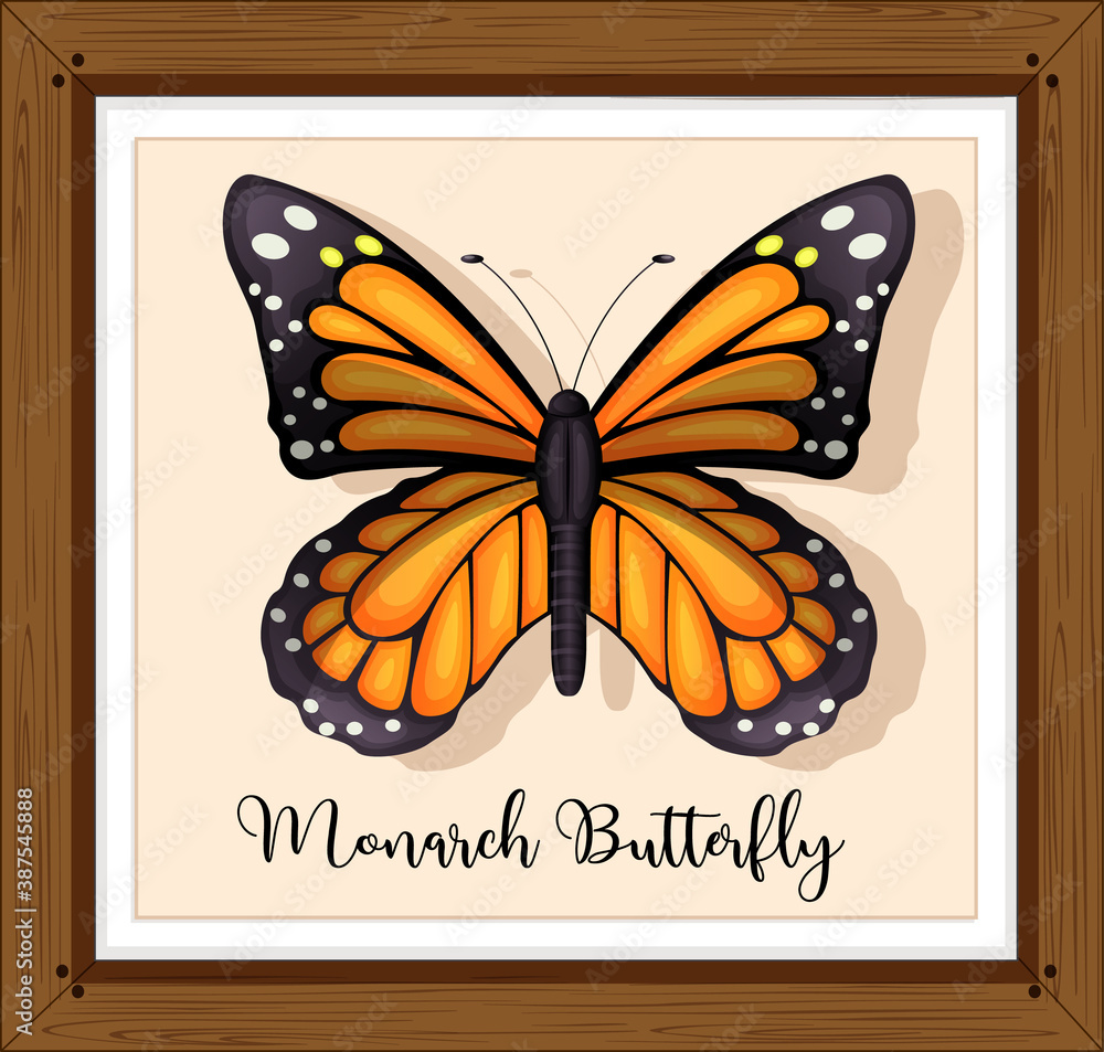 Butterfly on wooden frame