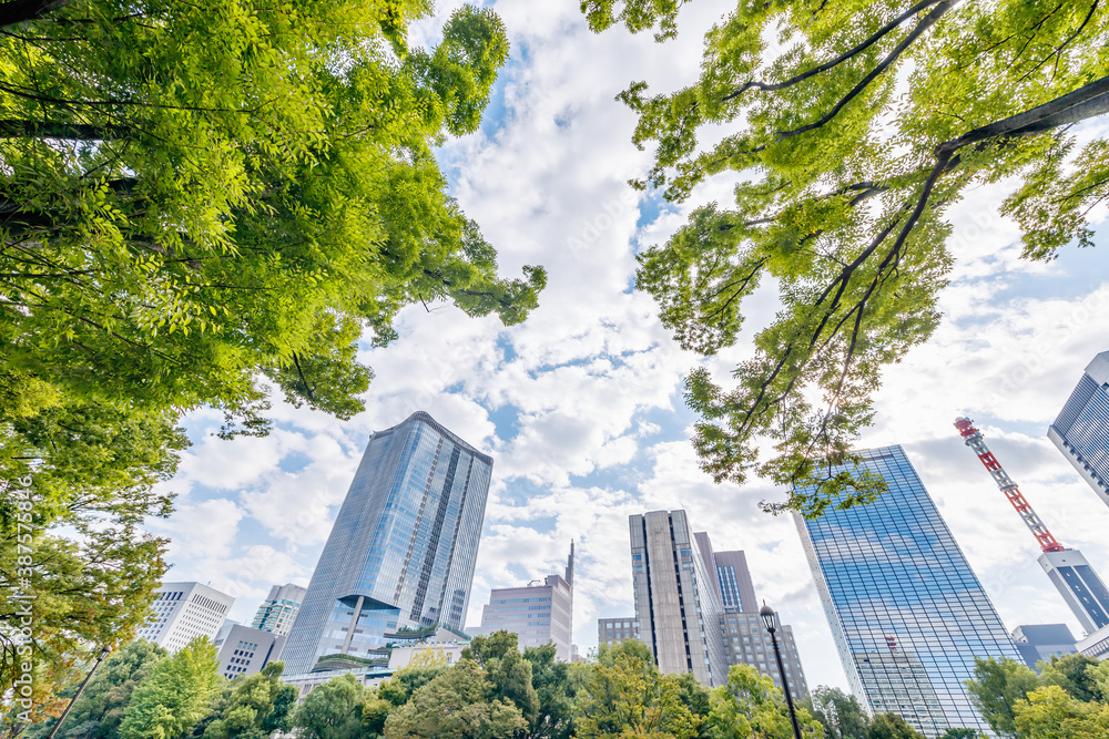 新緑の木と東京のビル群