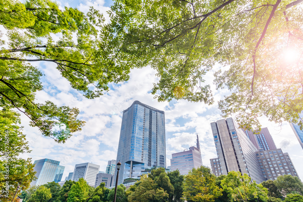 新緑の木と東京のビル群