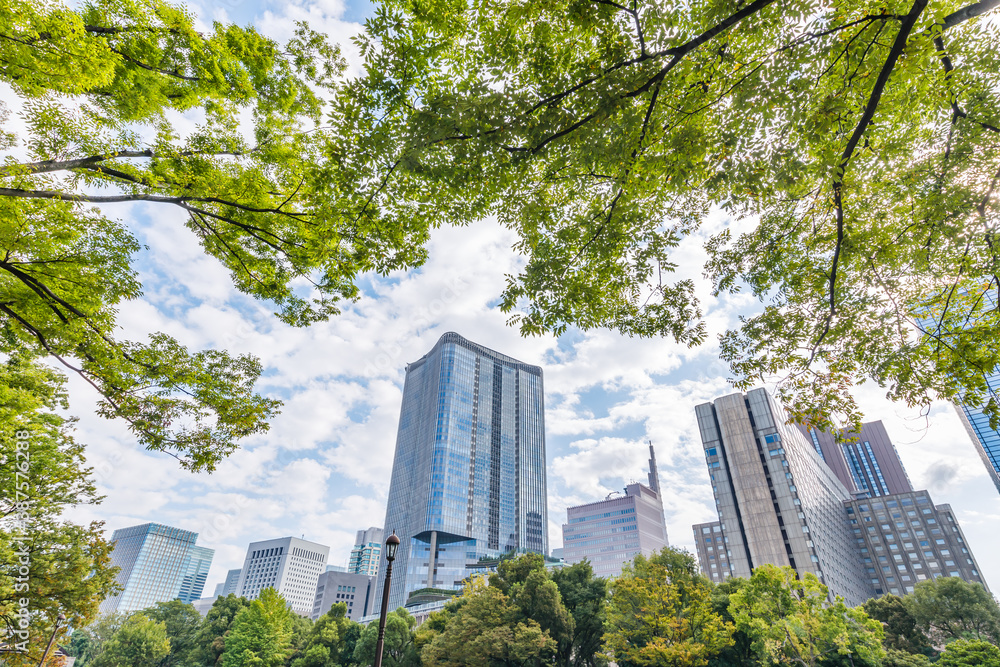 新緑の木と東京のビル群