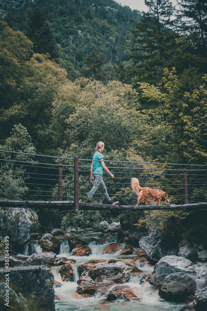 Young female caucasian hiker walking across a suspension bridge with her pet dog border collie walki