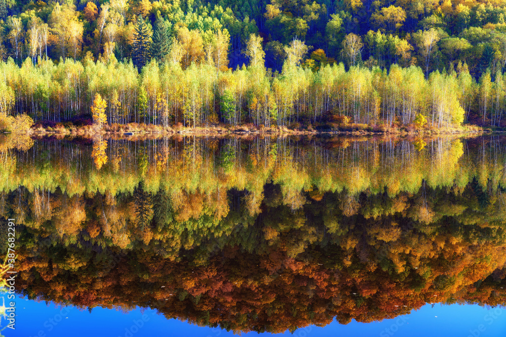 The autumn landscape of Singanense of China.