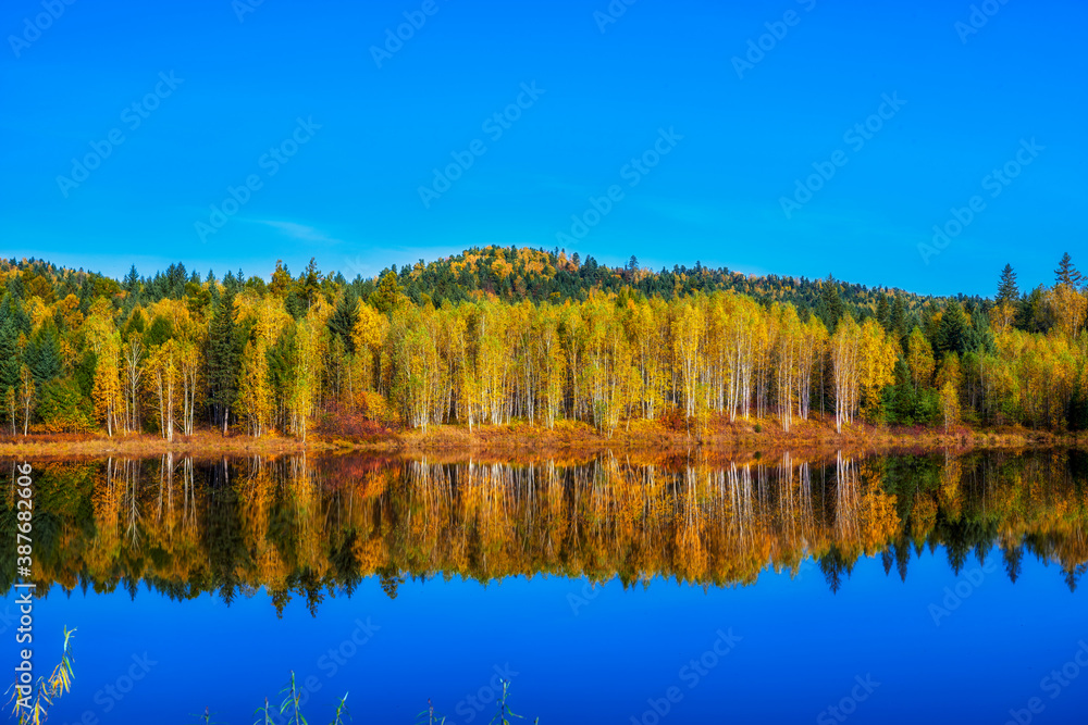 中国新加坡的秋天风景。