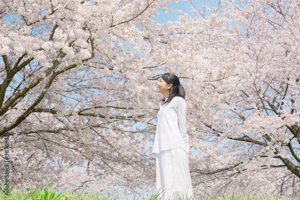 女性　桜　満開