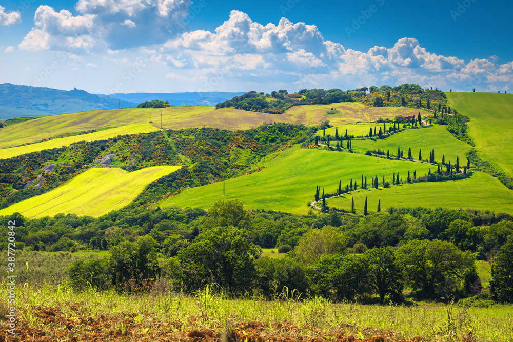 Winding rural road on the hill with cypresses, Tuscany, Italy