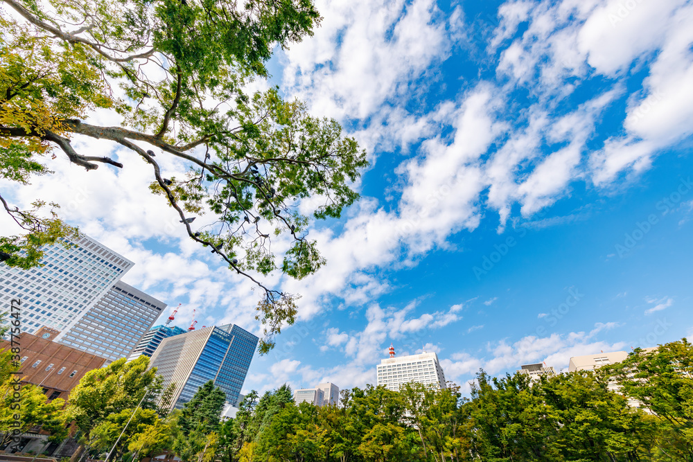 新緑の木と東京のビル群