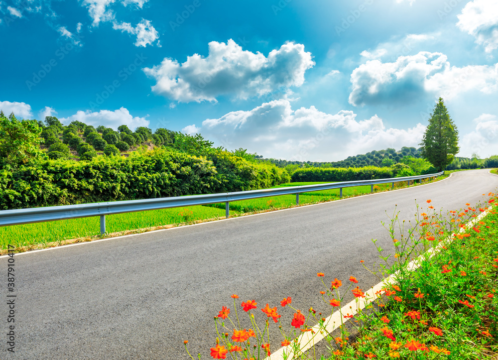 Countryside asphalt road and green tea plantations with mountain natural scenery in Hangzhou on a su