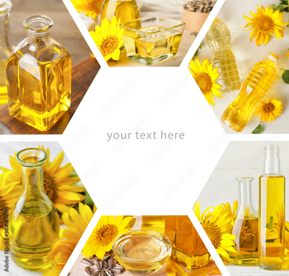 Collage with sunflower oil on white background with place for text