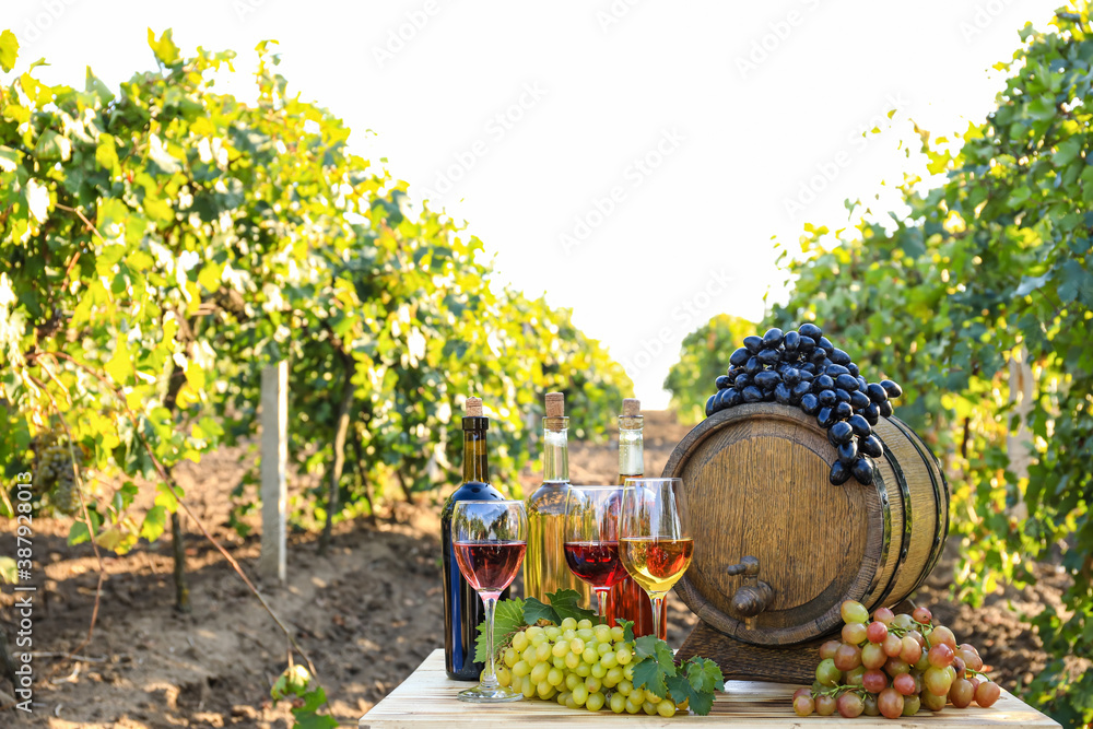 Tasty wine and ripe grapes on table in vineyard