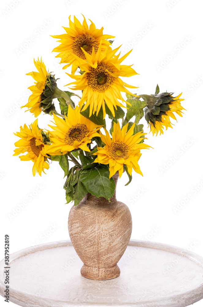 Beautiful sunflowers in vase on the table