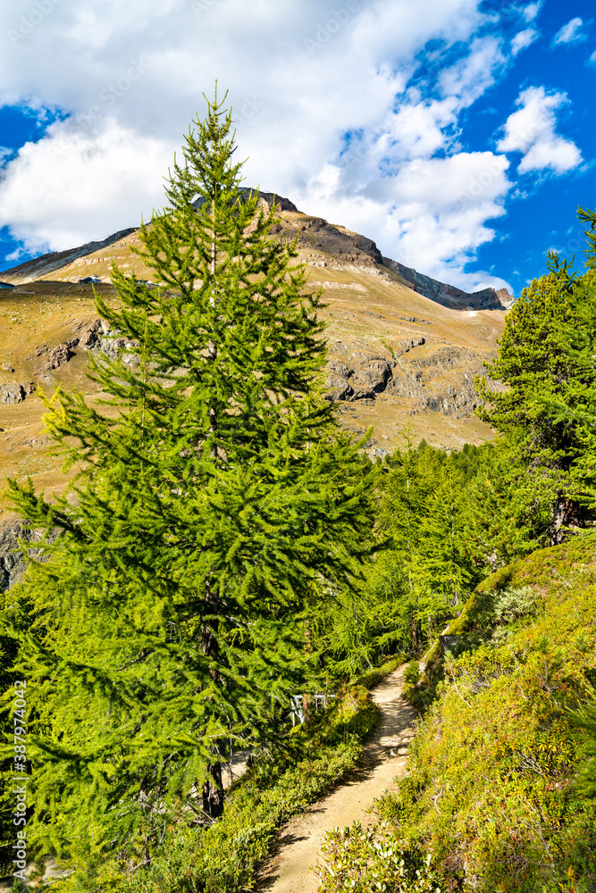 View of the Swiss Alps near Zermatt