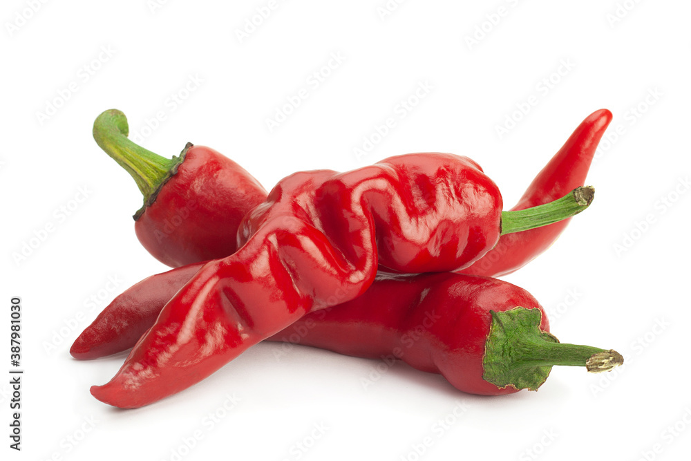 Red chili pepper