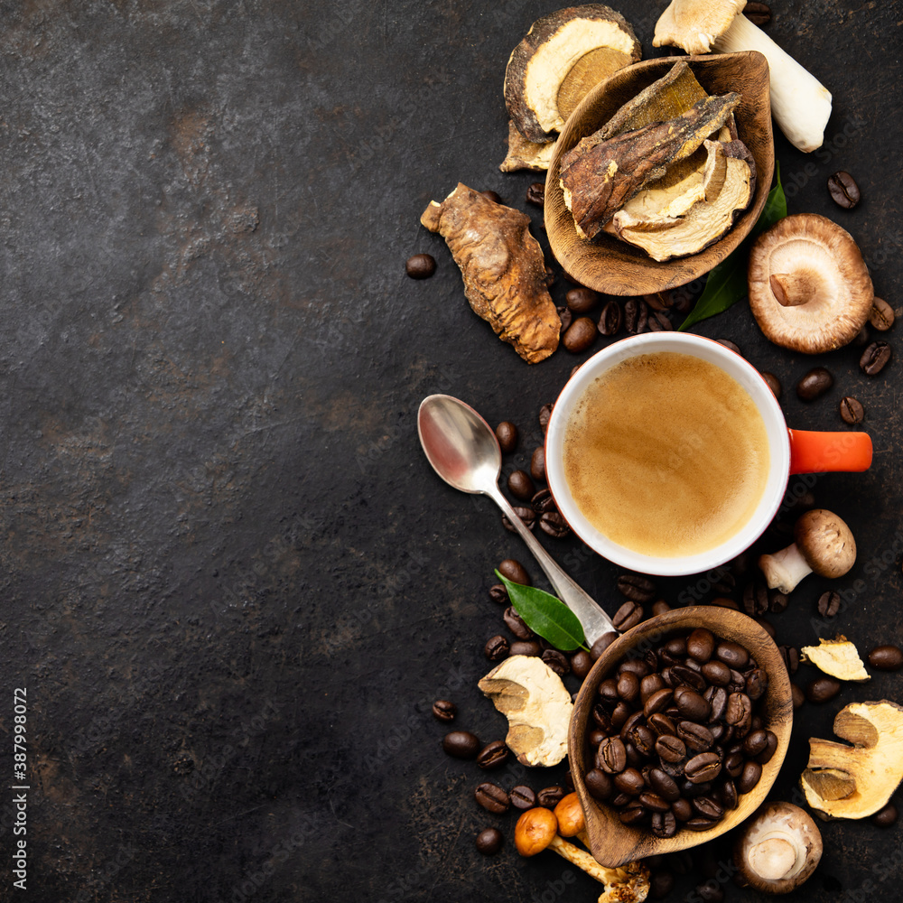 Mushroom Chaga Coffee Superfood Trend-dry and fresh mushrooms and coffee beans on dark background