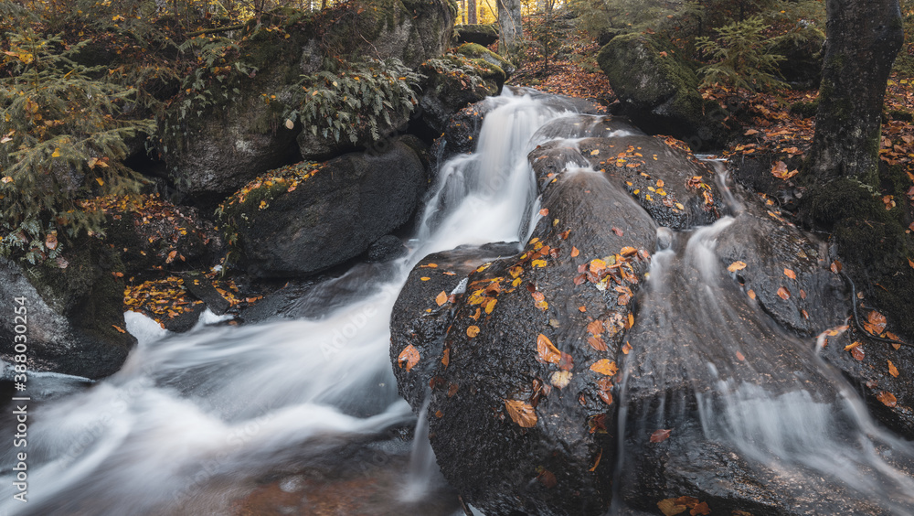 waterfall in the autumn forest