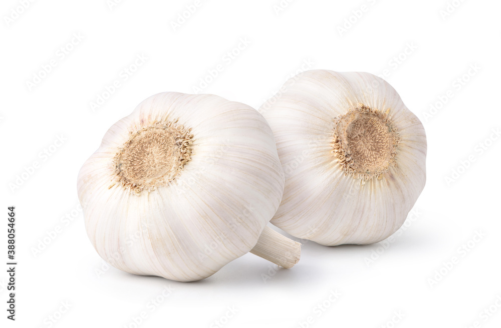 Two Garlic Bulbs isolated on white background. Clipping path.