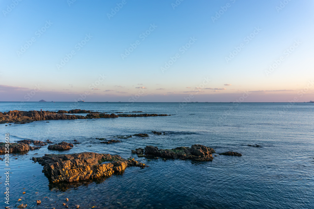 Island reefs and green bryophytes