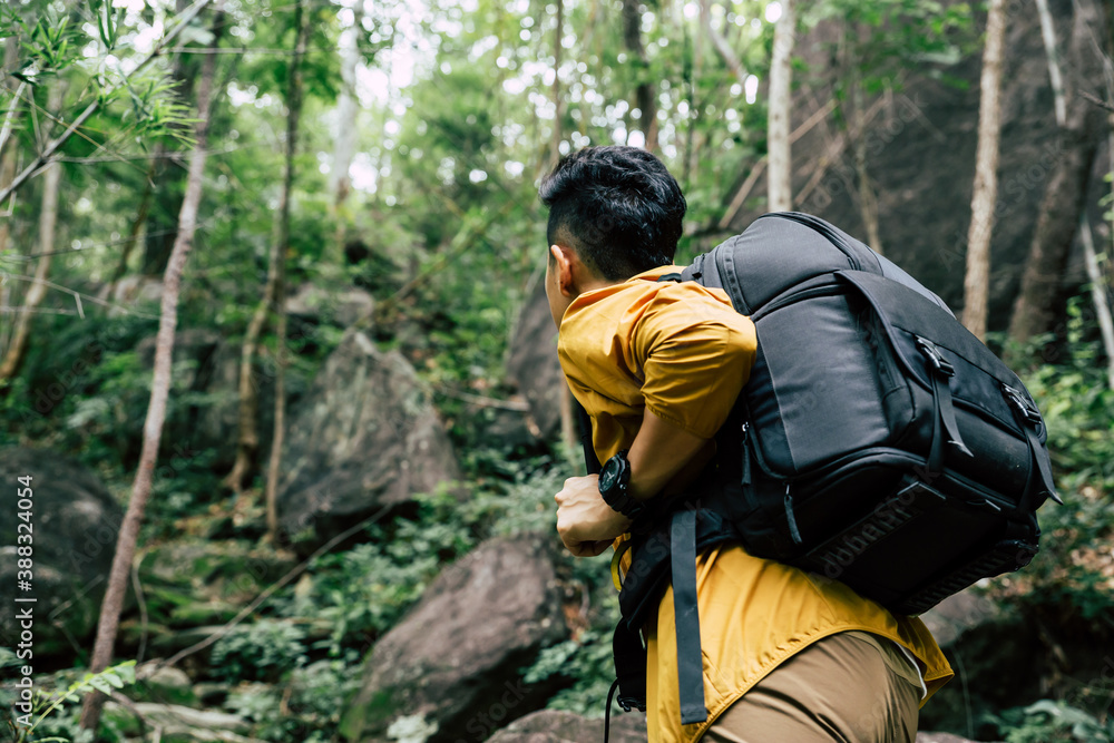 Traveler hike through forest to peak of mountain.