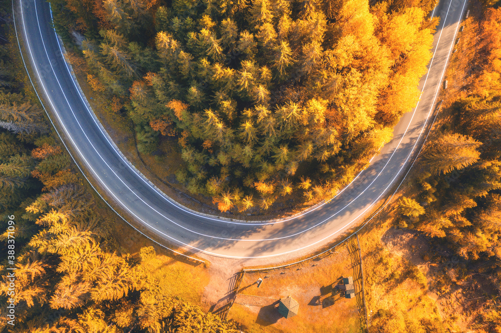 Aerial view of mountain road in beautiful forest at sunset in autumn. Top view from drone of winding