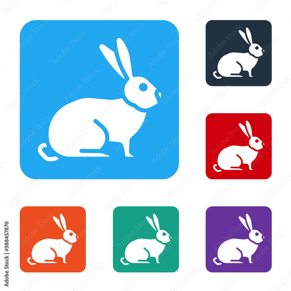 White Rabbit icon isolated on white background. Set icons in color square buttons. Vector.