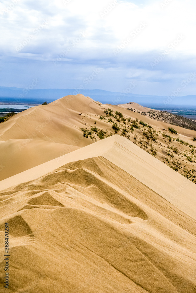 sand dune with bushes on a background of mountains