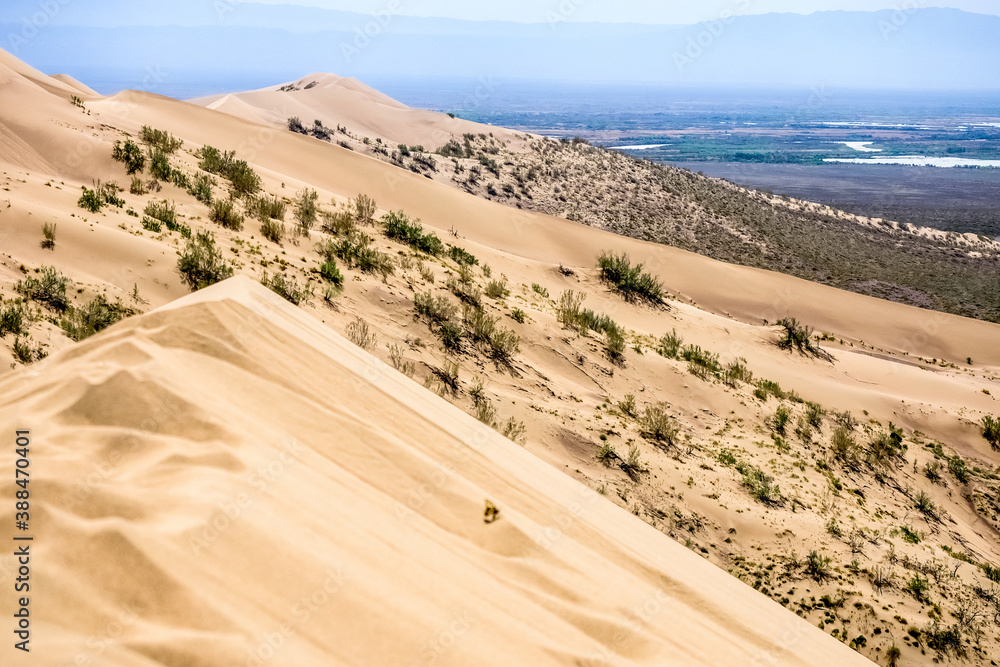 sand dune with bushes on a background of mountains