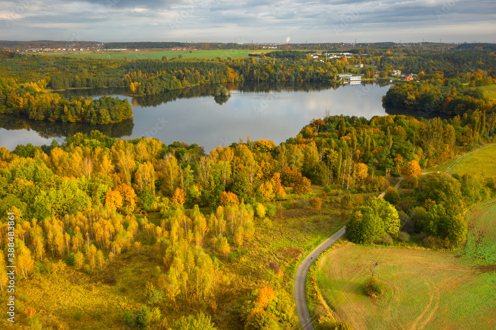 Golden autumn of Poland by the Straszyn lake from above.