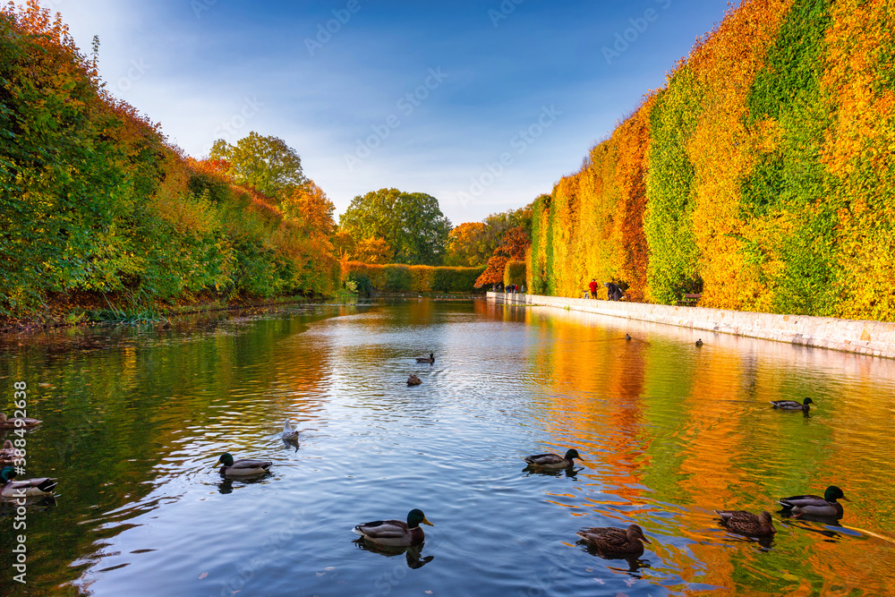 Beautiful pond with ducks in the Oliwa Park in autumn. Gdansk