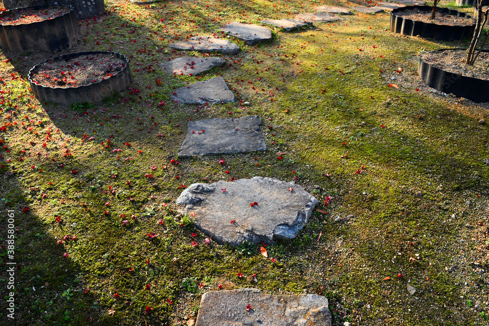 Stepping stone path in lawn in sun with evergreen grass ground cover, an inviting beginning of a his