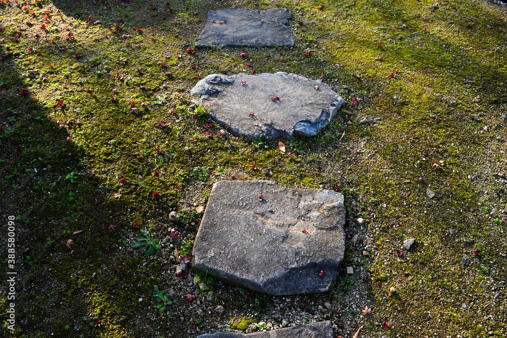 Stepping stone path in lawn in sun with evergreen grass ground cover, an inviting beginning of a his