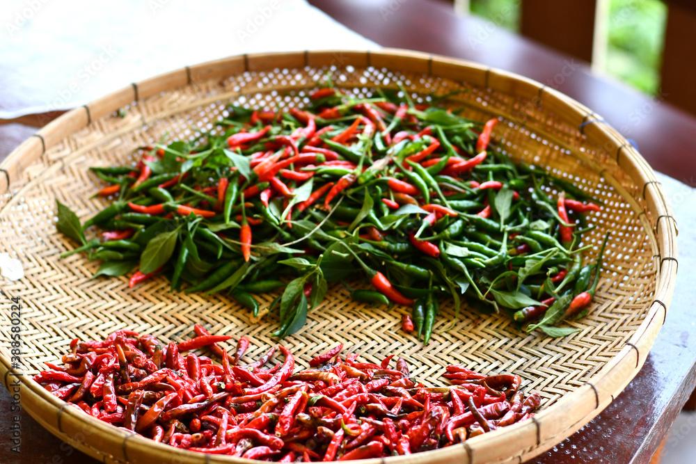 Close up of dried red hot and fresh green chili for chili flakes process, Background or backdrop for