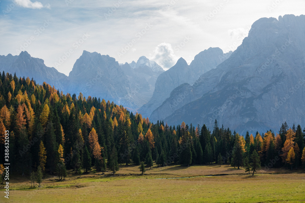 DRONE: Flying low over an empty pasture under the stunning rocky mountains.