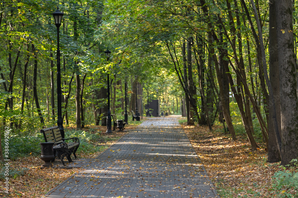 Golden autumn in the city Park of Moscow. A long cobblestone alley, along which there are park bench