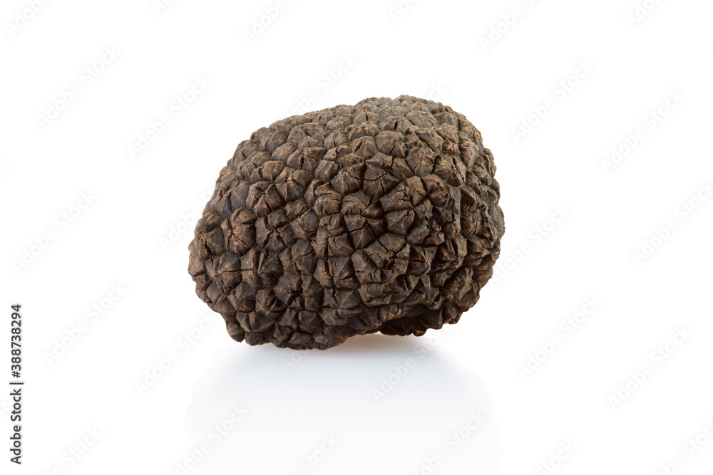 Single black truffle isolated on white, clipping path included