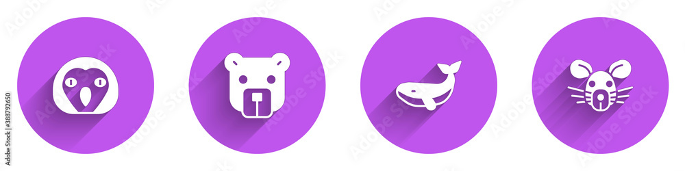 Set Owl bird, Bear head, Whale and Rat icon with long shadow. Vector.