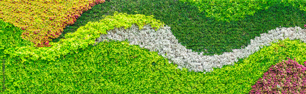 Colorful various flowers plant wall background