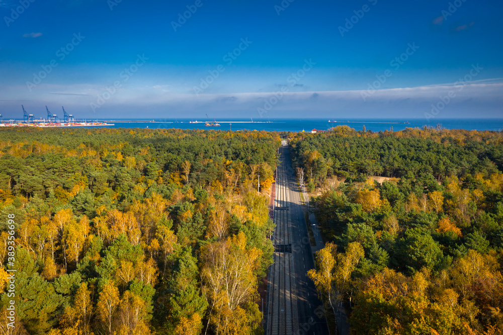 A tram line next to the beach surrounded by an autumn forest in Gdansk. Poland