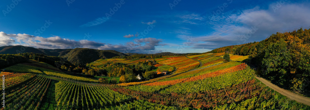 Oktober 2020 Weinberge Bad Neuenahr-Ahrweiler ; Ahrtal ; Indian Summer ;.Foto: Norbert Ittermann.www