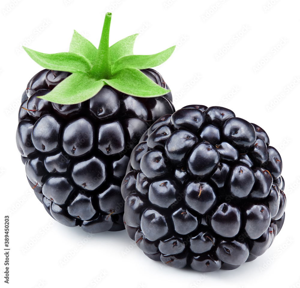 Blackberry isolated on white background